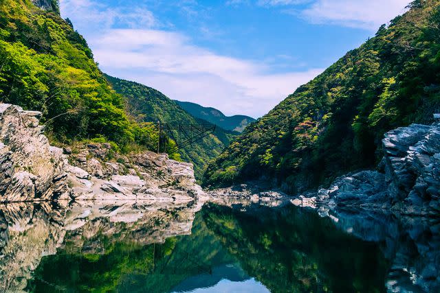 <p>Masahiro Noguchi/Getty Images</p> The Oboke Gorge and the Yoshino River near the entrance to the Iya Valley in Tokushima, Japan