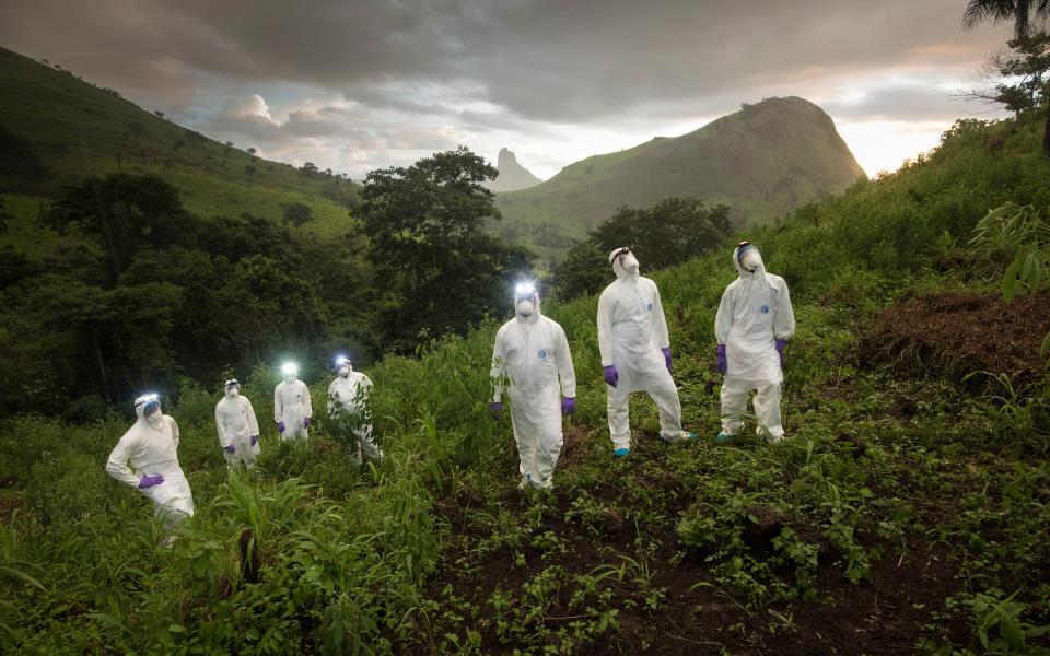 Scientists in Sierra Leone in August 2018 hunt for new pathogens in the wild animal population - Simon Townsley