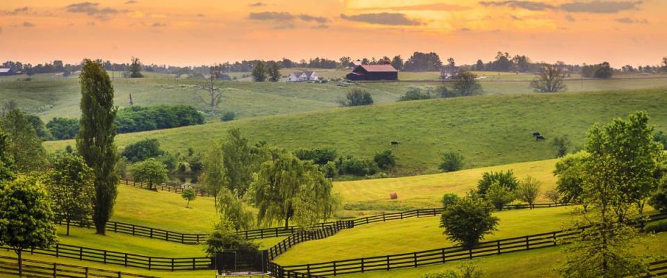 All that pretty grass will have you crying and sneezing in Kentucky