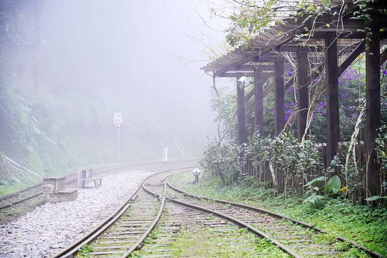 嘉義阿里山｜十字路車站、十字鳴心咖啡