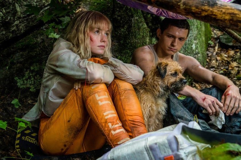 Daisy Ridley, dog and Tom Holland star in 'Chaos Walking' (Lionsgate)