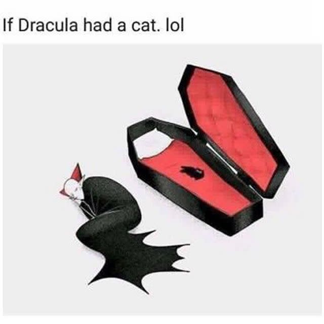 If Dracula Had a Cat