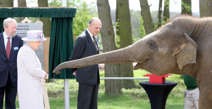 Queen Elizabeth feeds an elephant