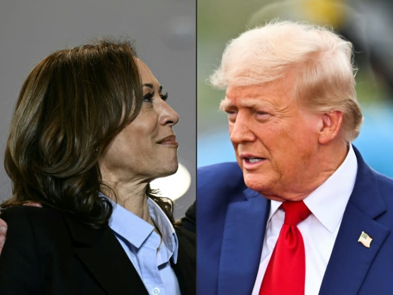 If Democrat Kamala Harris and Republican Donald Trump receive a close number of electoral college votes, the tie-breaker could come down to Nebraska's second congressional district (Brendan SMIALOWSKI)