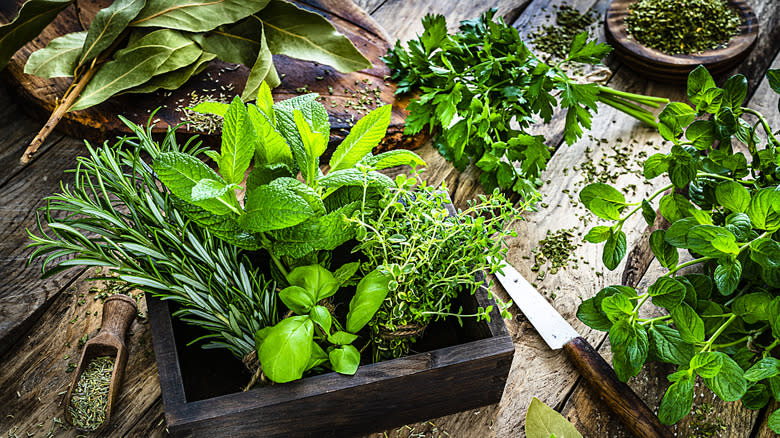 assortment of fresh herbs on wood table