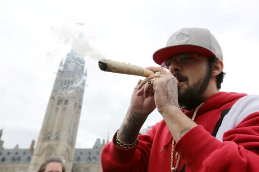 Canadian lawmakers have voted on a bill to legalize cannabis that would make Canada the first G7 country to allow free consumption of the mind-altering drug