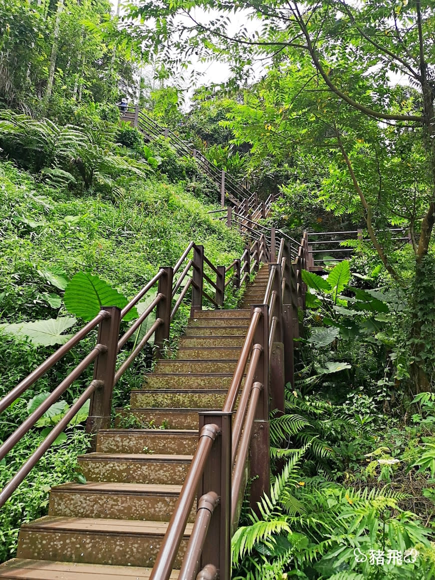 雲林古坑｜華山園區小天梯＆情人橋