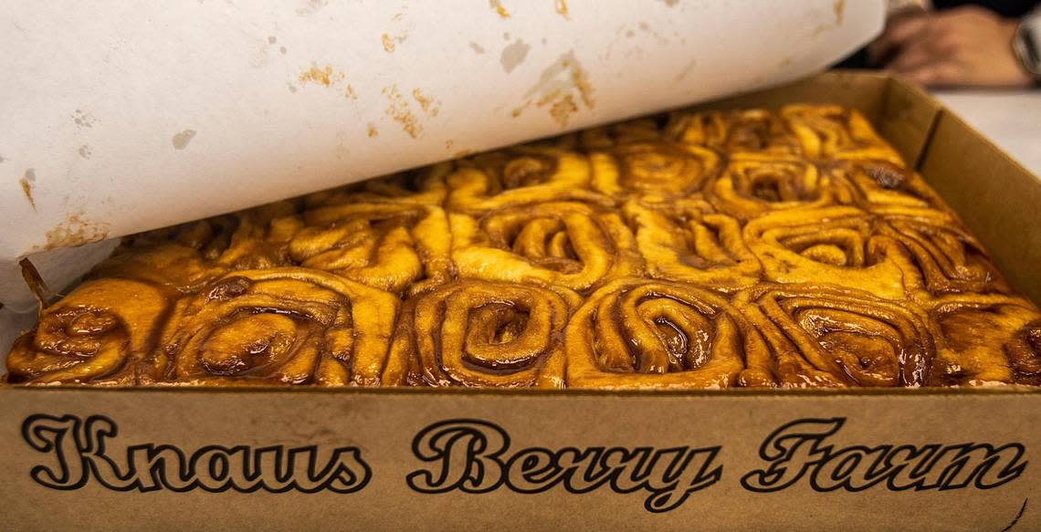 Can’t you just smell and taste the famous homemade cinnamon rolls from the iconic Knaus Berry Farm in Homestead? The business has been owned and operated by the Knaus family since 1956. This batch was pictured on Friday, Feb. 24, 2023.