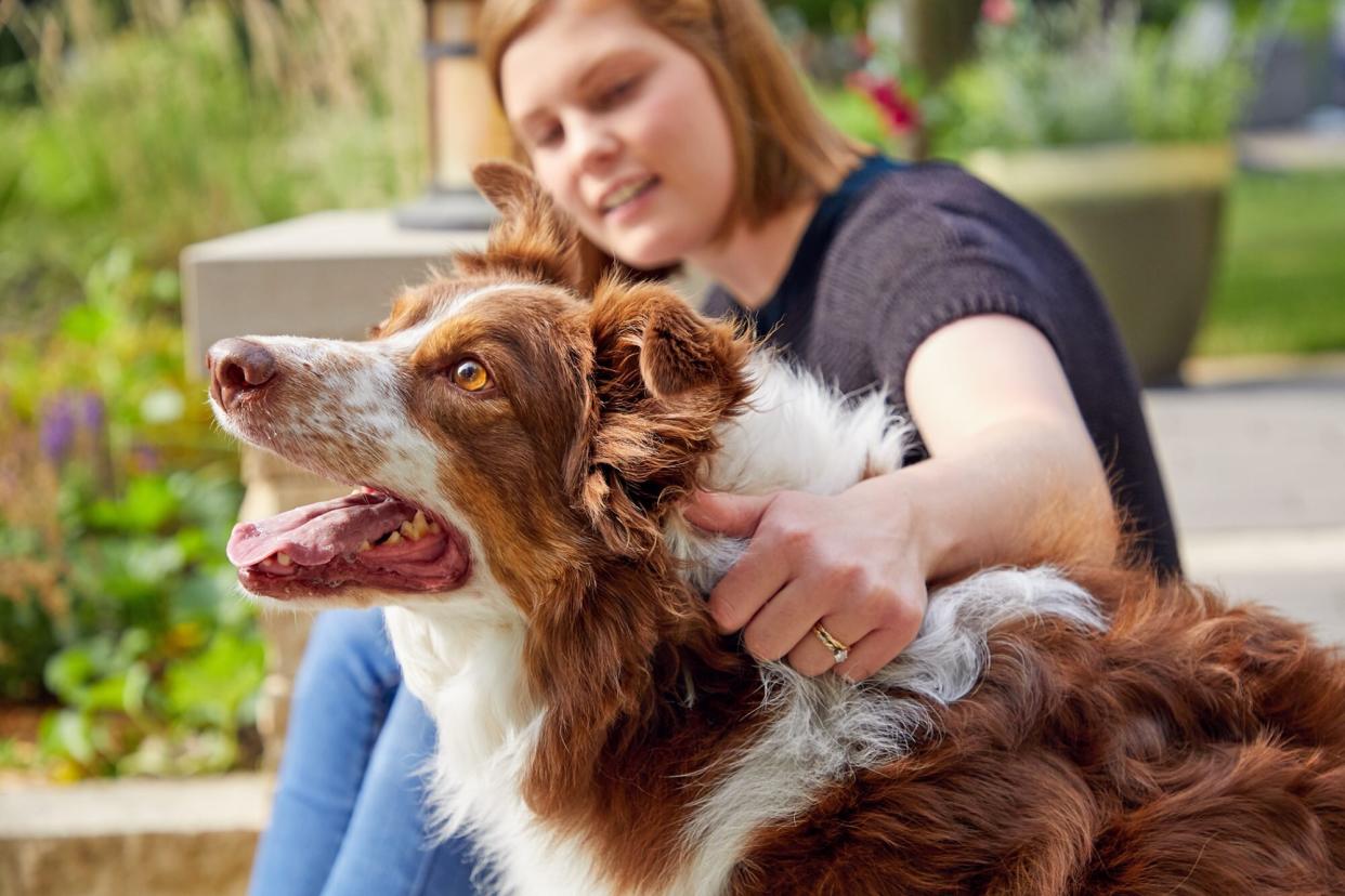 woman sitting with a red and white border collie; why are so many dogs named luna?