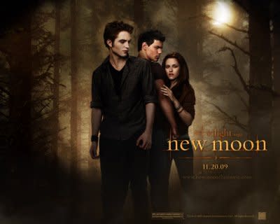 Photo from Twilight website