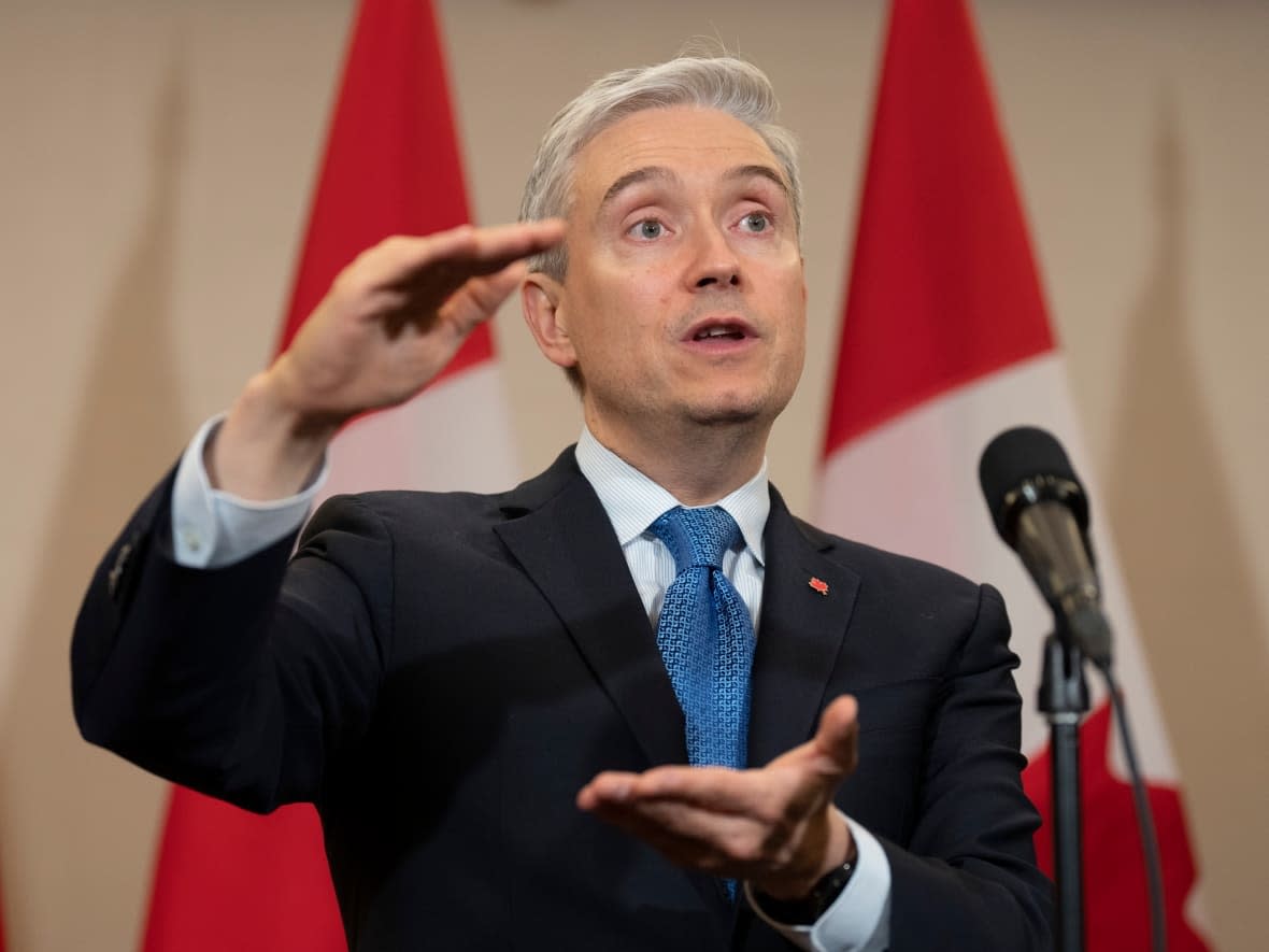 Innovation, Science and Industry Minister François-Philippe Champagne says Ontario needs to join the federal government in providing production subsidies to automaker Stellantis. (The Canadian Press/Adrian Wyld - image credit)