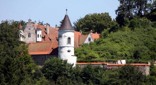 28-room historic castle in the forrest