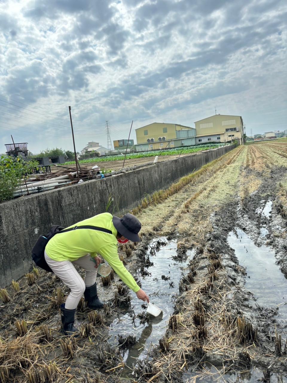 防疫人員針對個案居住地週邊水稻田進行病媒調查。（圖：高雄衛生局提供）