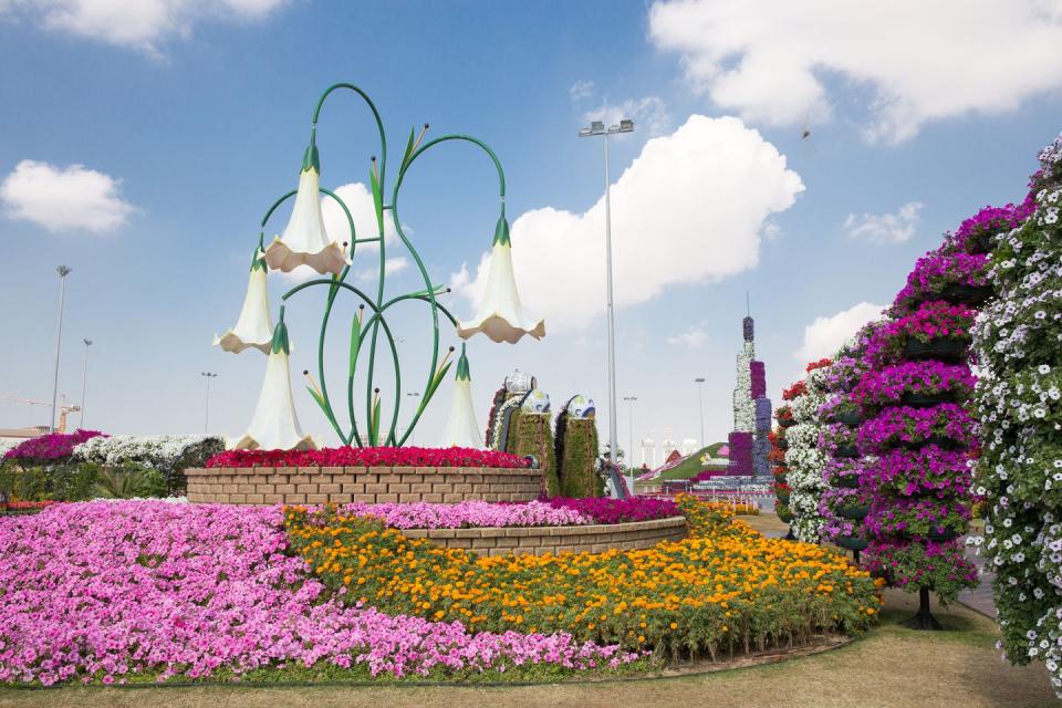 Dubai Miracle Garden in Dubai, United Arab Emirates