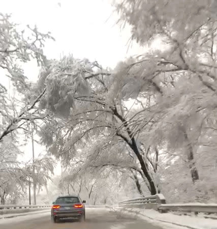 Trees covered in snow are seen as a car drives in Kansas City, Missouri, January 12, 2019 in this still image obtained from social media video. K. MCPHERSON/via REUTERS