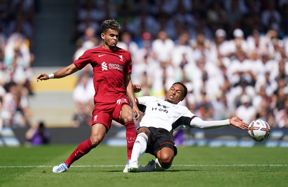 Liverpool manager Jurgen Klopp is confident Luis Diaz will score 10 to 15 goals for the side this season (Adam Davy/PA) (PA Wire)