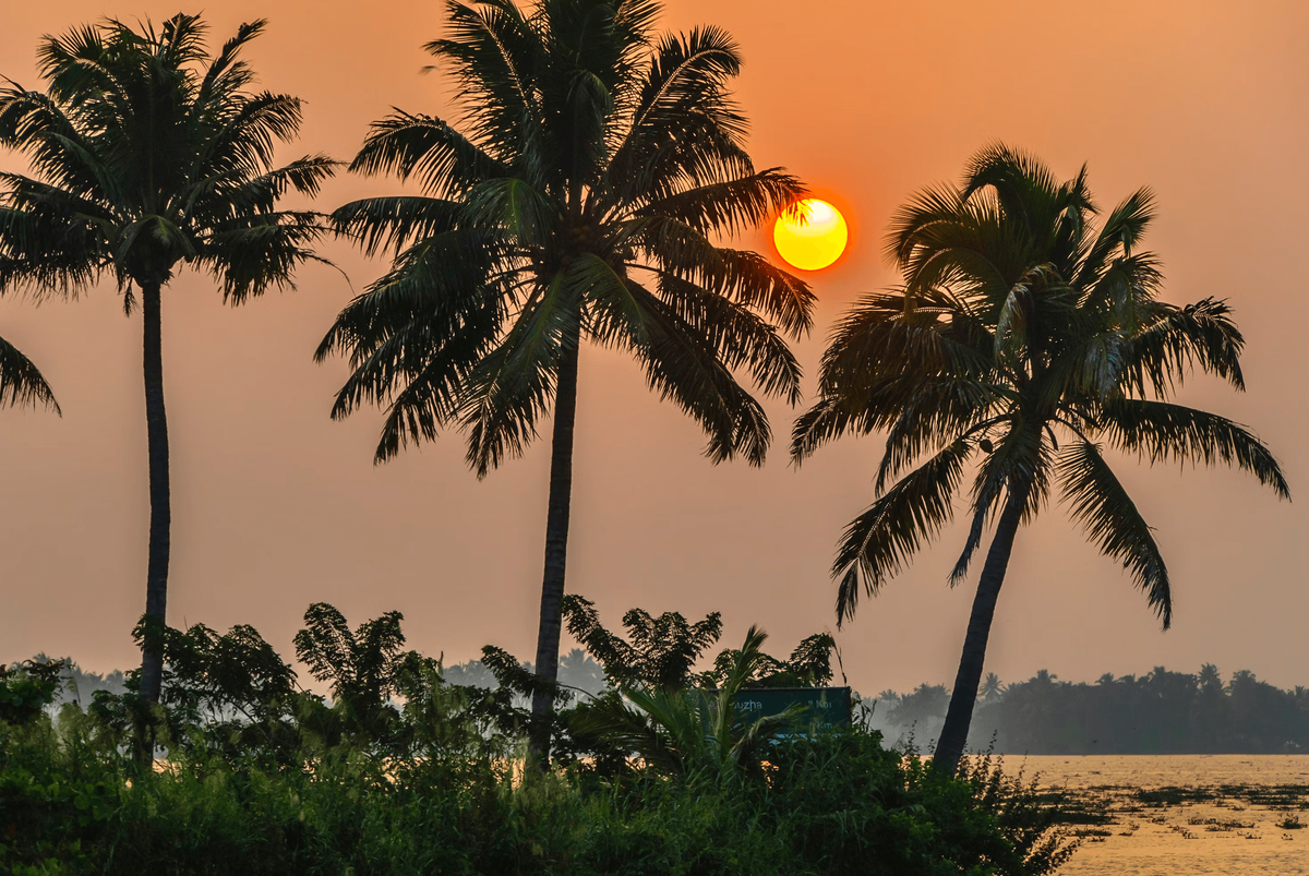 Kerala is the place to head for a dose of culture and a serious wind-down (nemo)