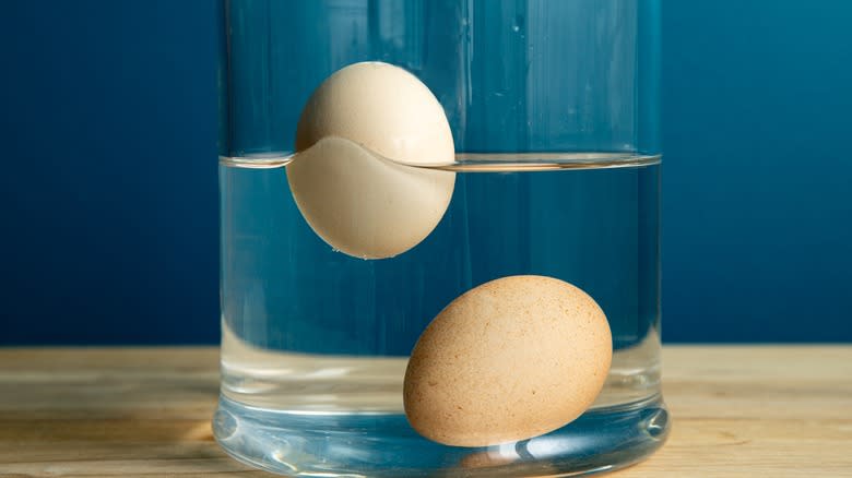 eggs floating in water