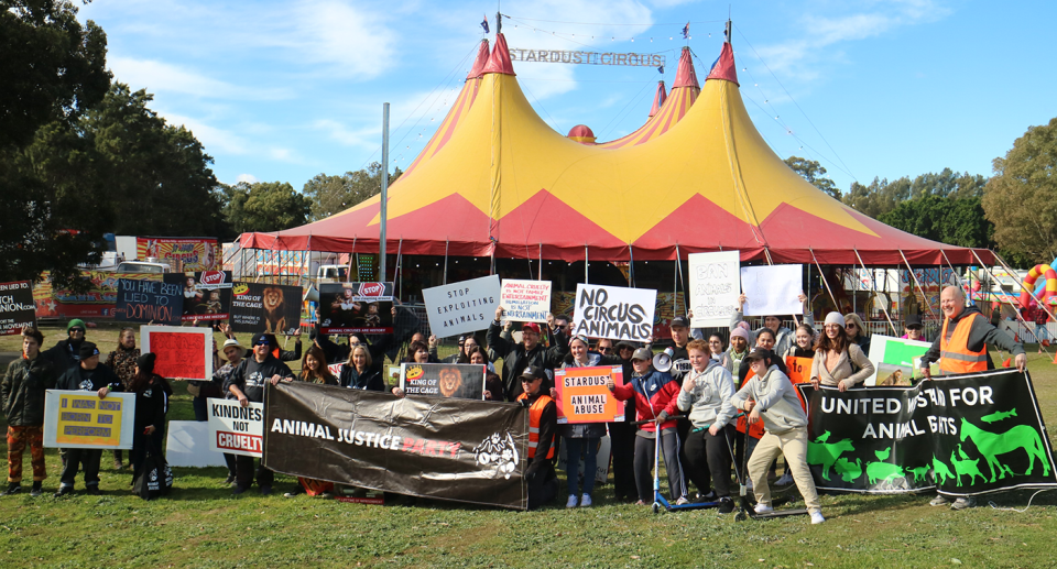 Animal welfare protesters outside Stardust Circus. Source: Animal Justice Party