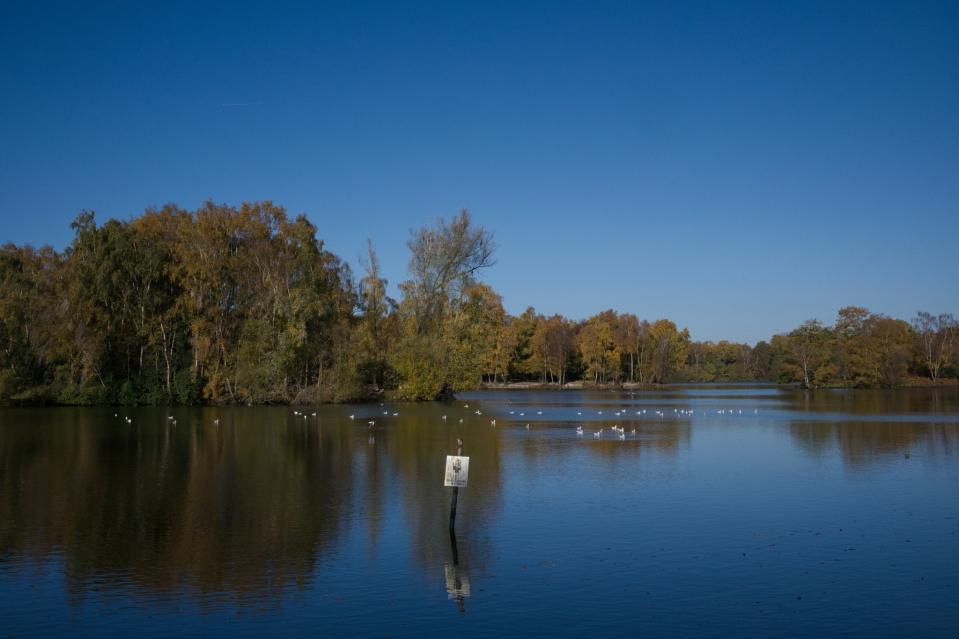 Shakerley Mere by Candy Lean