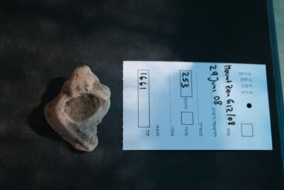 Murex sea snails were harvested for their natural purple dye. Archaeologists found a large number of murex shells at the site, suggesting whoever lived in the building had connections to to the luxury dye trade.