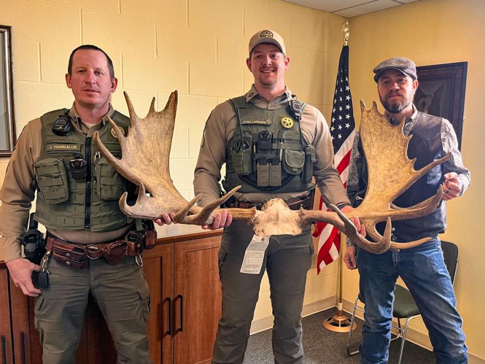 Game warden sergeants Justin Hawkaluk and Josh Leonard, and criminal investigator Ben Womelsdorf hold 56-inch-long antlers of a moose that was poached.