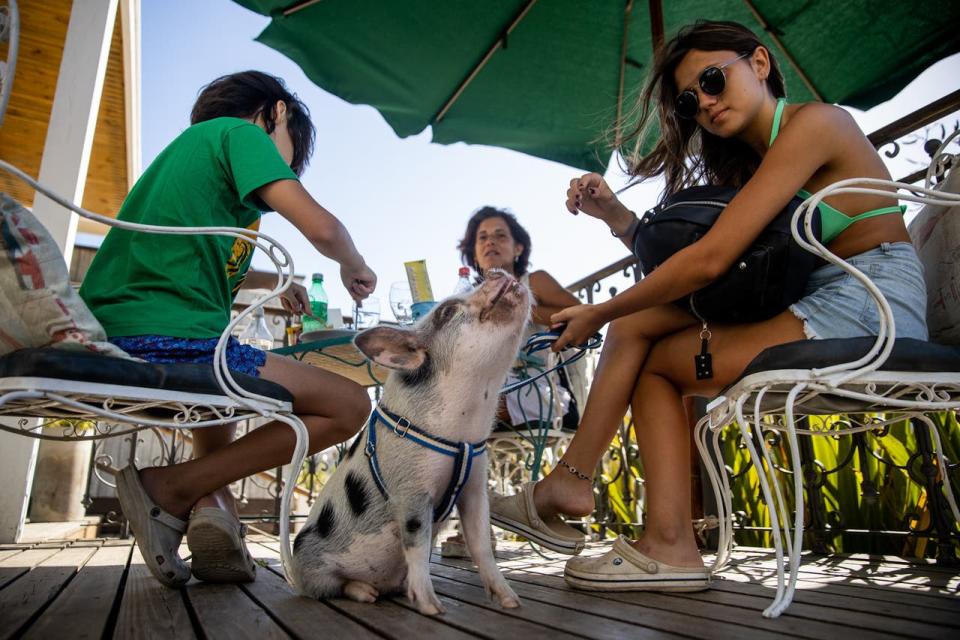 Chanchi y su familia en el parador Atlántico, donde ya es conocido por todos los que tienen carpas allí