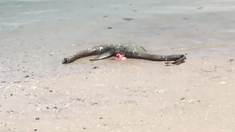 The mysterious object that washed up on the Georgia beach. Source: Twitter/Melin Tompkins