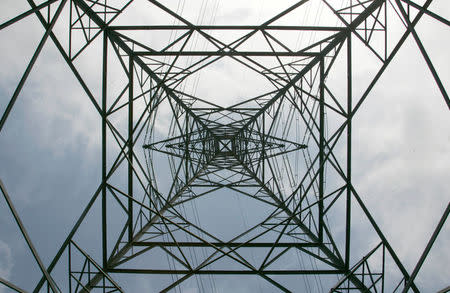 FILE PHOTO: An electricity pylon is pictured near Cobham in Surrey, Britain, July 25, 2008. REUTERS/Luke MacGregor/File Photo