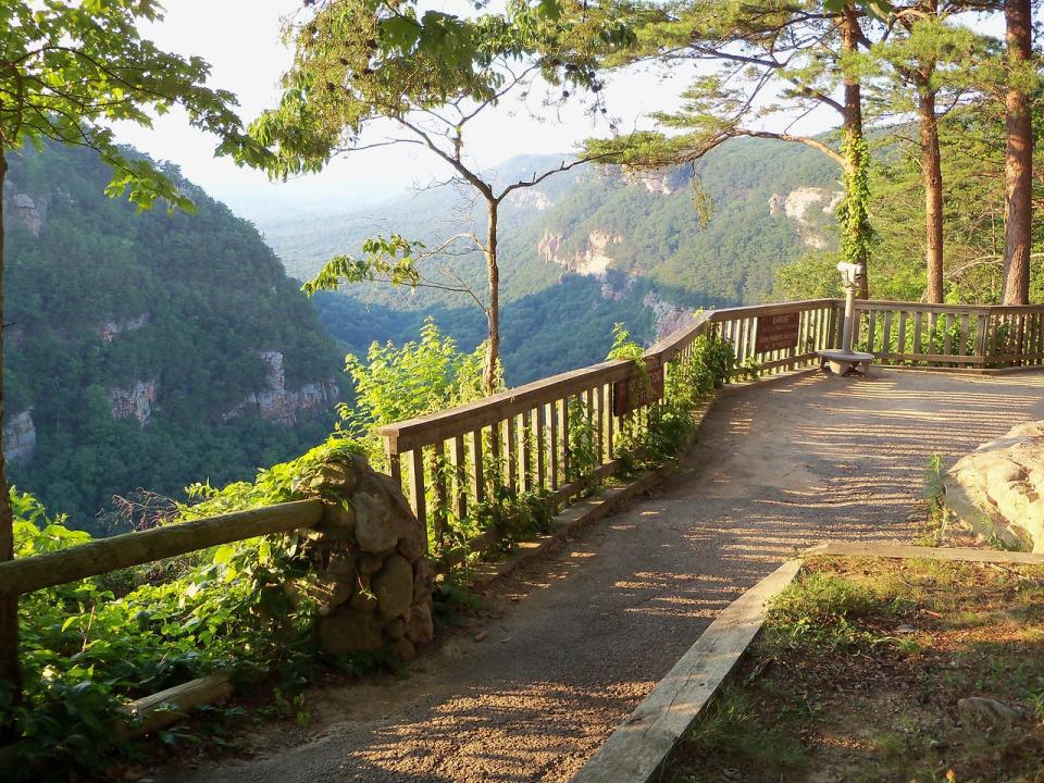 FILE - An overlook at Cloudland Canyon State Park provides a high, wide-open vantage point at the 1,000-foot-deep canyon. The park was ranked as one of the best in Georgia by Tripadvisor.