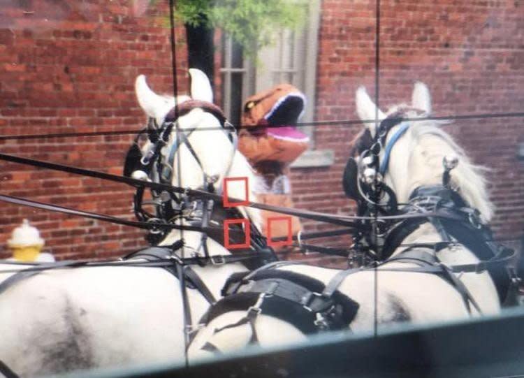 A woman dressed as a Tyrannosaurus rex is facing charges after she allegedly startled a pair of carriage horses in downtown Charleston on Thursday. (Photo: Palmetto Carriage Works)