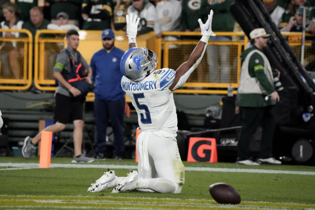 Detroit Lions: More than Just NFC North Champions 