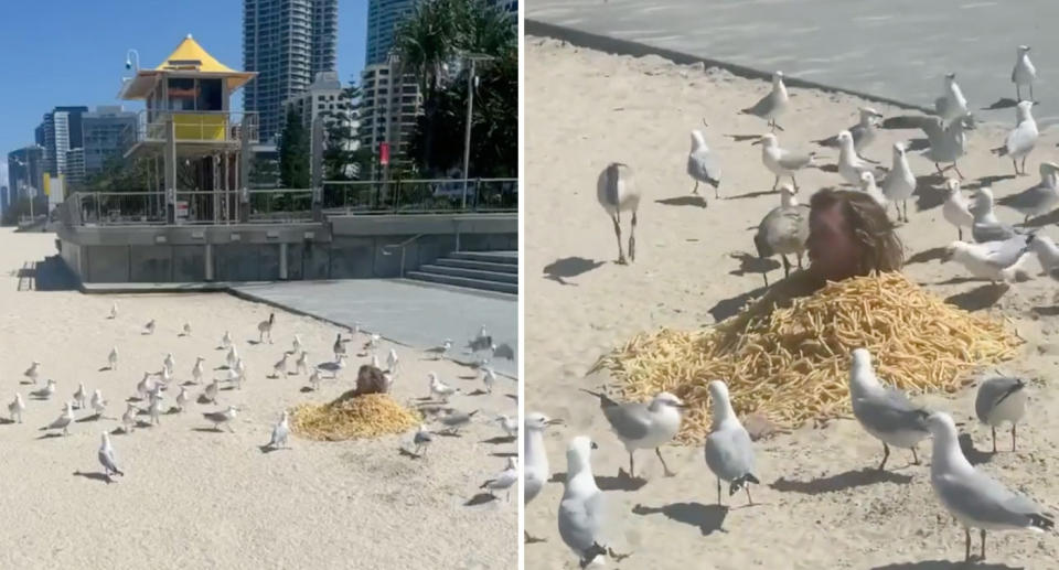 The seagull stunt was carried out by a comedian duo. Source: Instagram/7News