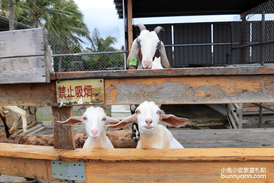 恆春墾草趣生態園