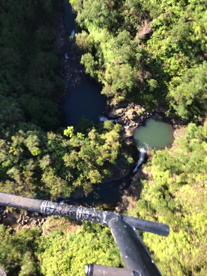 Makawao Forest Reserve where Amanda Eller was found alive Friday. (Photo: Javier Cantellops)