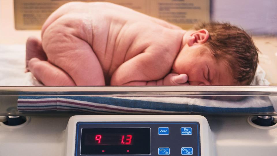 Newborn baby being weighed