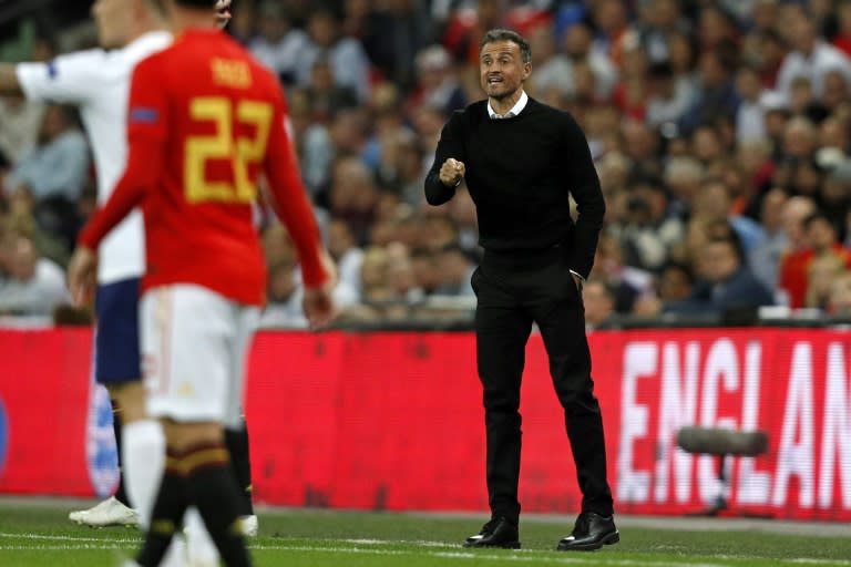 New Spain coach Luis Enrique