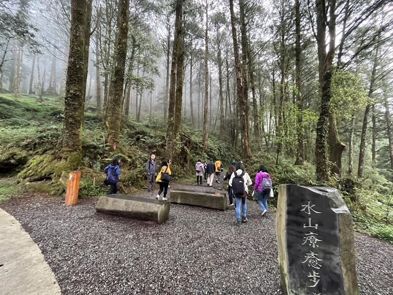 阿里山林鐵旅遊  可親近全台首條森林療癒步道 阿里山林業鐵路費時15年修復及規劃，預計7月1日開 通，國內外旅客可享受全台第1條森林療癒步道。圖 為9日水山療癒步道遊客。 中央社記者楊淑閔攝  113年4月9日 