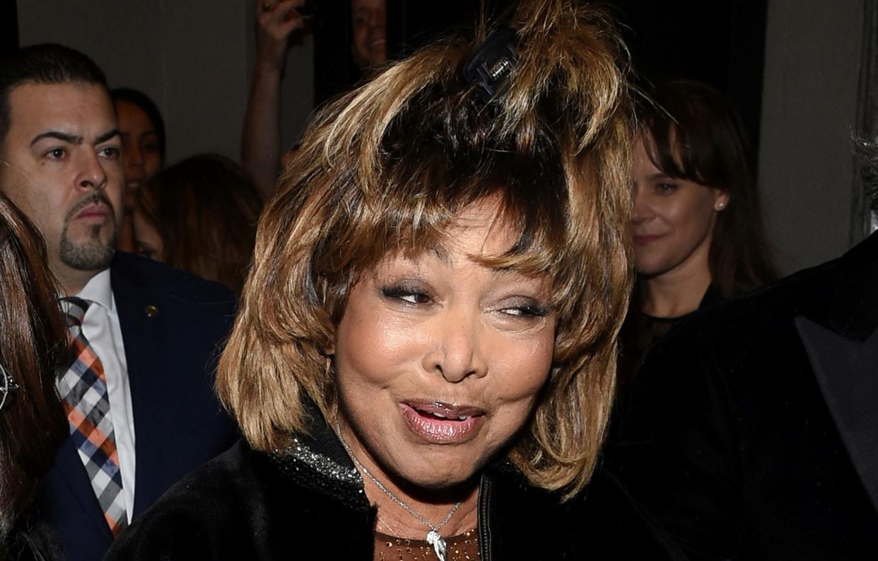 Tina Turner  (Credit: AP)                    