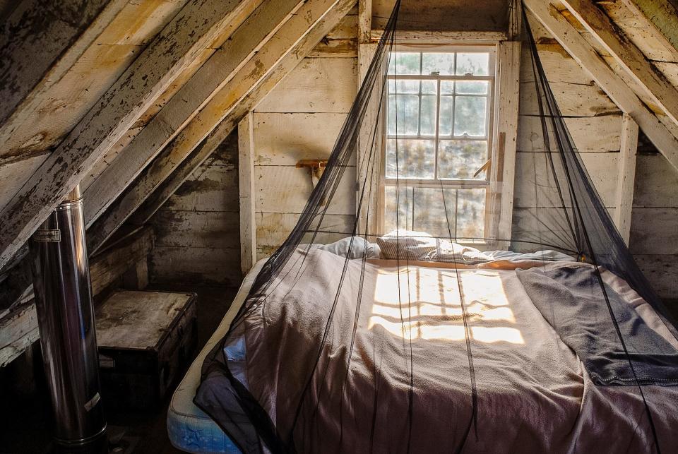 A bed in a Provincetown dune shack is protected by draped netting and bathed in sunlight.