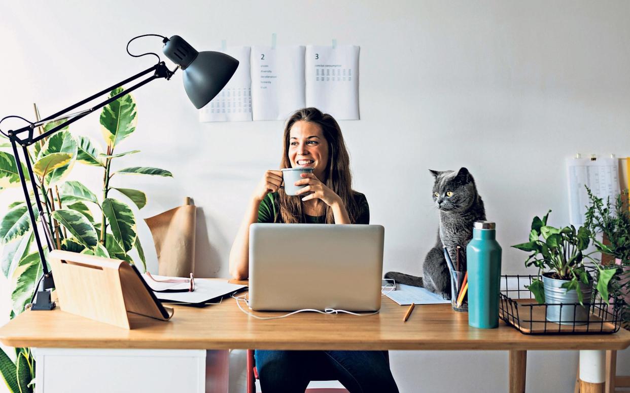 Our writer suggest eight easy and quick ways to upgrade your WFH space - Getty Images/Westend61