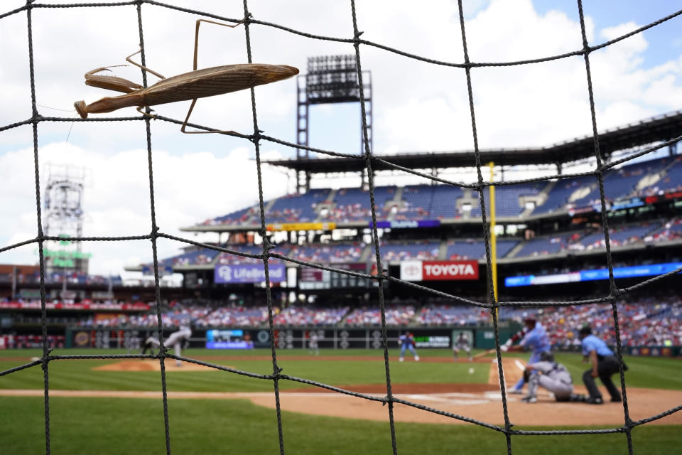 A praying mantis hangs on the netting as Philadelphia Phillies' Darick Hall, right, hits a single against Miami Marlins pitcher Edward Cabrera during the first inning of a baseball game, Thursday, Aug. 11, 2022, in Philadelphia. (AP Photo/Matt Slocum)