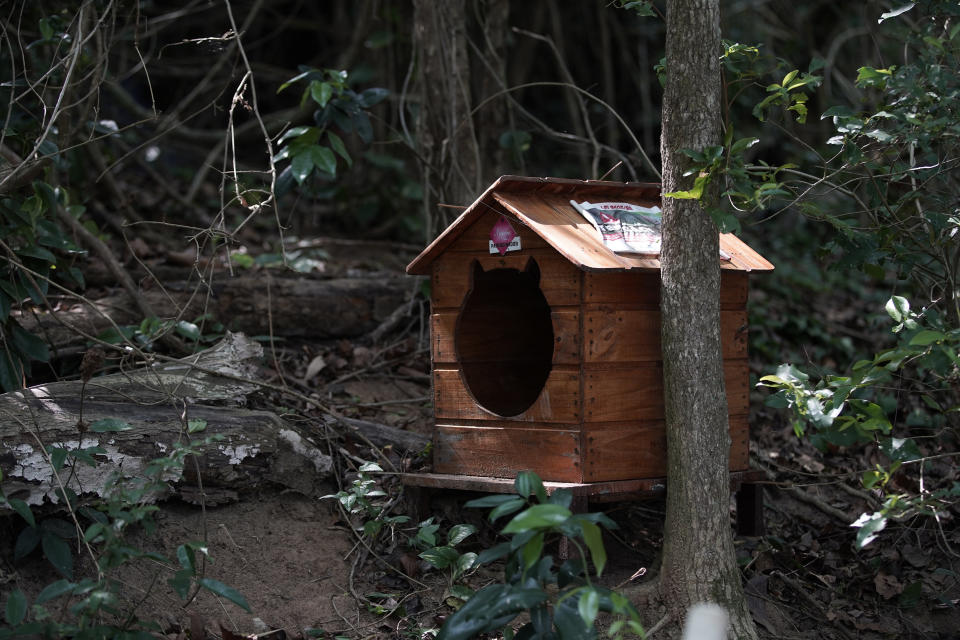 A cat shelter sits on Furtada Island, popularly known as “Island of the Cats,” in Mangaratiba, Brazil, Tuesday, Oct. 13, 2020. Volunteers are working to ensure the stray and feral cats living off the coast of Brazil have enough food after fishermen saw the animals eating others' corpses, an unexpected consequence of the coronavirus pandemic after restrictions forced people to quarantine, sunk tourism, shut restaurants that dish up seafood and sharply cut down boat traffic around the island. (AP Photo/Silvia Izquierdo)