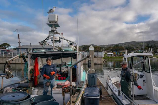 NJ/DE Bay Region Fishing Forecast - March 21, 2024 - The Fisherman