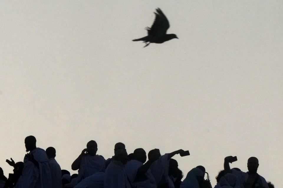 A pigeon flies over Muslim pilgrims on the rocky hill known as the Mountain of Mercy, on the Plain of Arafat, during the annual Hajj pilgrimage, near the holy city of Mecca, Saudi Arabia, Tuesday, June 27, 2023. Around two million pilgrims are converging on Saudi Arabia's holy city of Mecca for the largest Hajj since the coronavirus pandemic severely curtailed access to one of Islam's five pillars. (AP Photo/Amr Nabil)