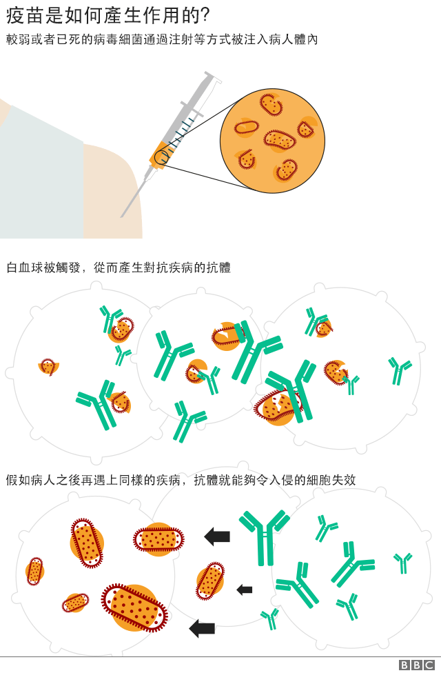 疫苗機制