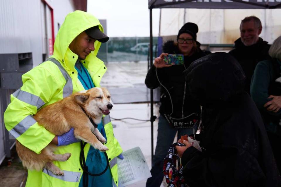 Beri estimates the group’s efforts have saved 20,000 dogs so far. James Keivom