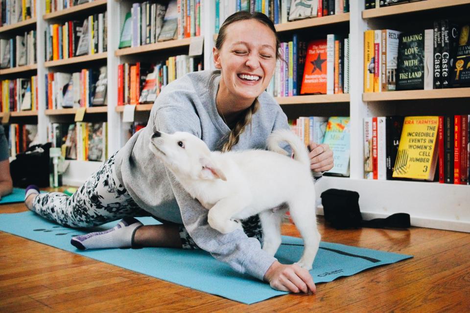 A puppy from the Central Humane Society plays around with a participant during a puppy yoga session with Sarah’s Yoga Studio on Feb. 18, 2023 at Skylark Bookshop in Columbia, Mo. 