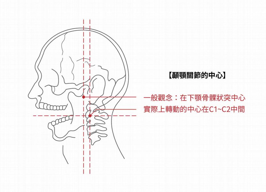 平衡覺失調可能引起暈眩