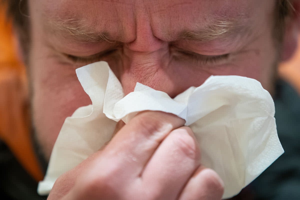 Scientists uncover why colds spike when the temperature drops (Aaron Chown/PA) (PA Archive)